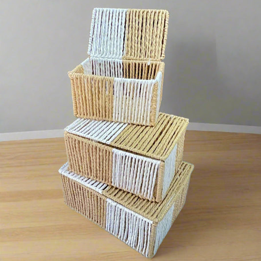Set de 3 Boîtes de Rangement Bicolore