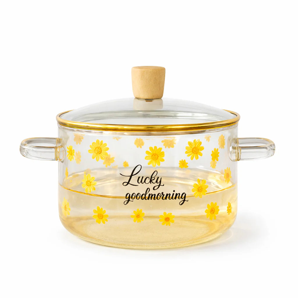 Casserole Verre Borosilicate