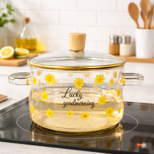 Casserole Verre Borosilicate