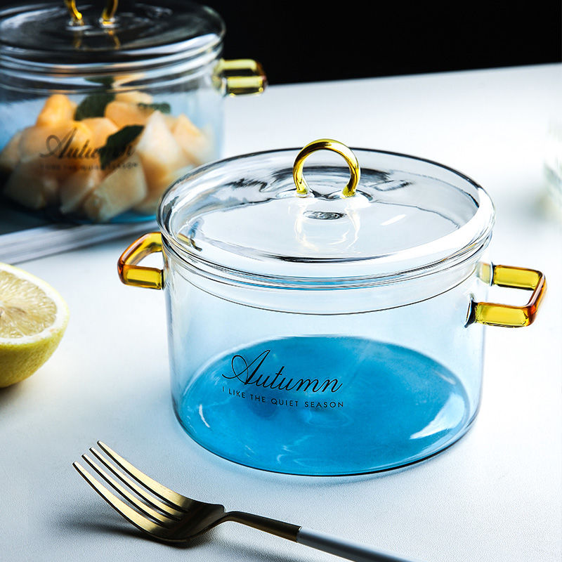 Cocotte en Verre avec Couvercle et Poignée en Verre Borosilicaté